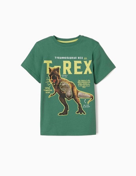 Camiseta niño T- Rex Zippy