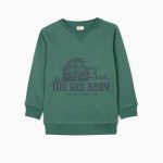 Sudadera niño cabaña Zippy